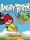 game pic for Angry Birds Seasons